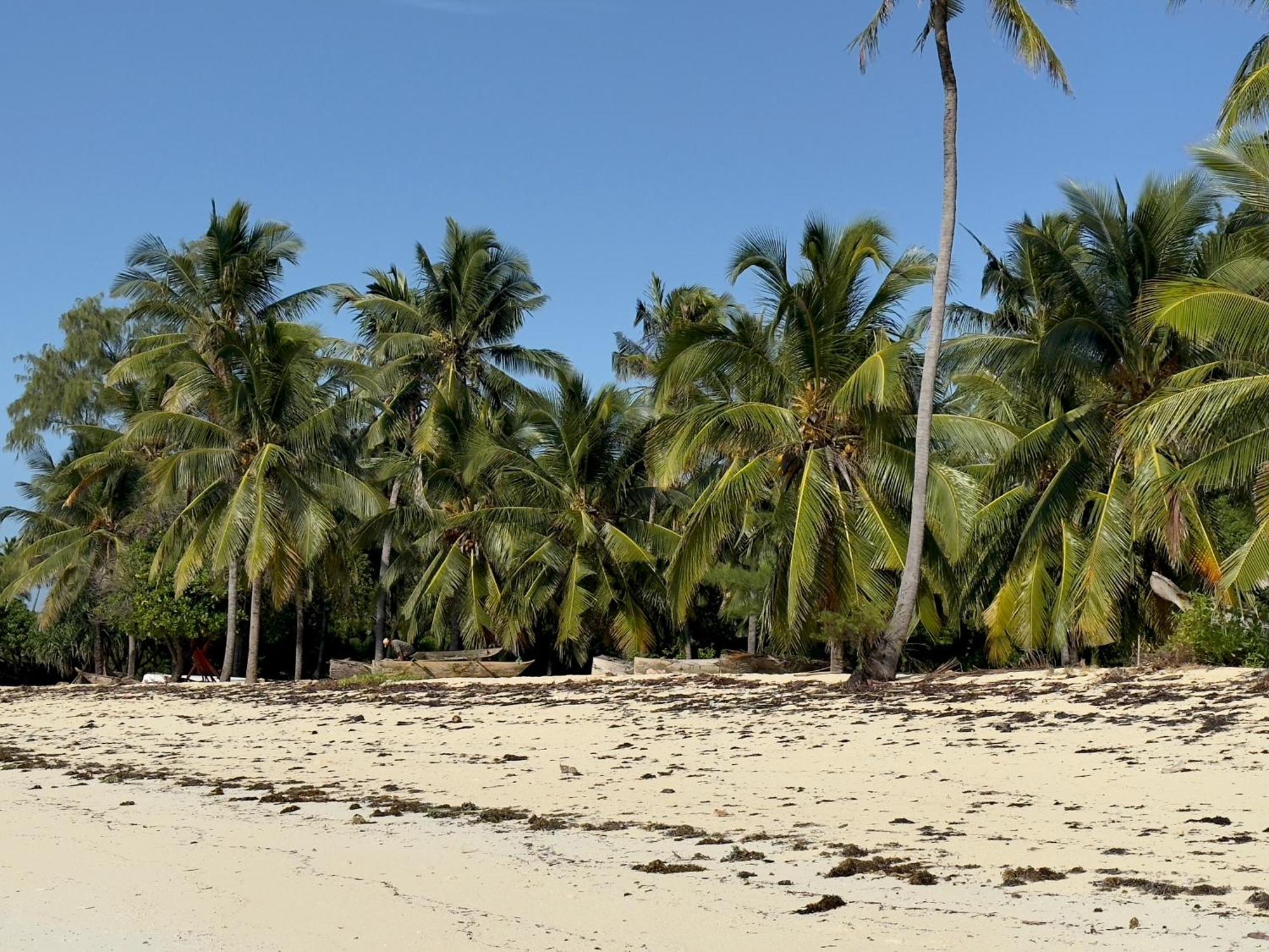 Juana Ocean Villas Makunduchi Exteriér fotografie